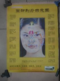 中国传统医学美容法：面部刮痧示意图、手部刮痧示意图、背部刮痧示意图、足部刮痧示意图全套4张全