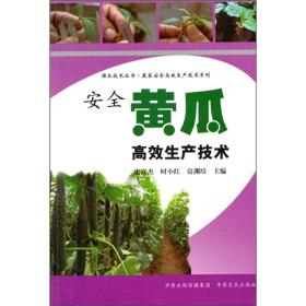 大棚黄瓜种植教学书籍 安全黄瓜高效生产技术