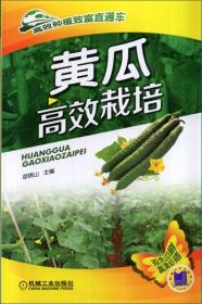 大棚黄瓜种植教学书籍 高效种植致富直通车：黄瓜高效栽培