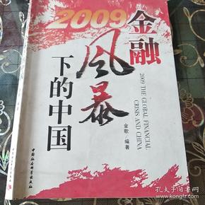 2009金融风暴下的中国