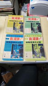 武侠技击小说丛书 奇侠潇湘宫 正集上下 续集 上下【4册】