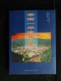 云南一平浪盐矿志（精装）