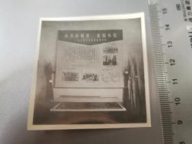 1965省农业展览馆 肖县徐洼公社征服沙荒展位的老照片