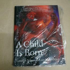 一个孩子诞生了：第四版经典之作完全修订和更新 A Child Is Born: Fourth Edition of the Beloved Classic-Completely Revised and Updated