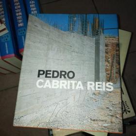 PEDRO CABRITA REIS；佩德罗·卡布里塔·瑞斯【大16开精装】
