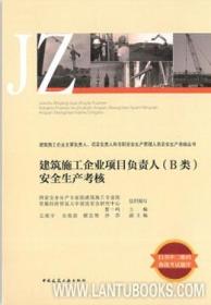 建筑施工企业主要负责人、项目负责人和专职安全生产管理人员安全生产考核丛书 建筑施工企业项目负责人( B类)安全生产考核9787112225583国家安全生产专家组建筑施工专业组/首都经贸大学建设安全研究中心/中国建筑工业出版社