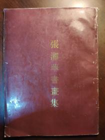 张湘华书画集 作者签名本