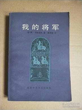 我的将军