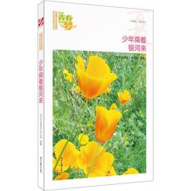 我的青春我的梦：（夏）少年乘着银河来（品读全国中学生校园作文精品，练就超强写作能力）