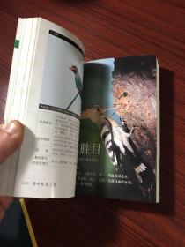 野外观鸟手册【库存书，近全新，无涂画笔迹】全彩色印刷，铜版纸精印，一版一印