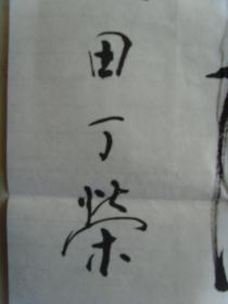 田丁荣：书法：书法二幅（湖北硬笔书协会员、长白山国际书画社学习委员、中国牡丹书画研究会研究员、中国书画人才研修中心高级研修员。一级书法师）（带简介）