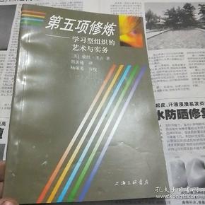 第五项修炼：学习型组织的艺术与实务