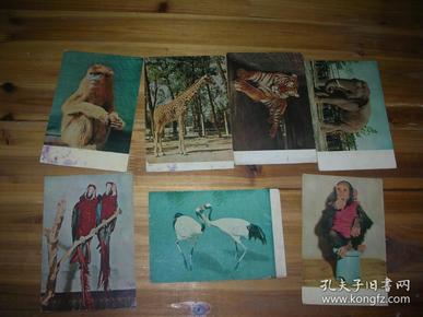 1959年左右明信片：北京动物园（ 存7枚） 北京出版社