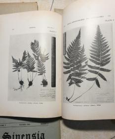 国立北平研究院动植物研究所丛刊（第七卷、第一、二、三、四、五期）共5册