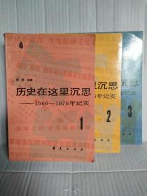 历史在这里沉思--1966-1976年记实  1-3卷