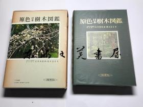 日文原版/带函套/软皮书衣/原色日本树木图鉴/保育社/1974年/冈本省吾/306页/大32开