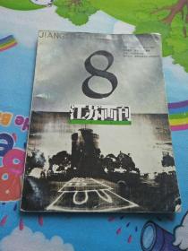 江苏画刊1996.8 美术月刊