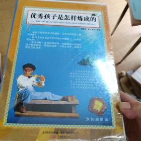 优秀孩子是怎样炼成的b1(未开封)