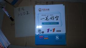 一笔好字 1+1临摹版 8年级上