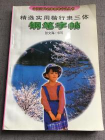 精选实用楷行隶三体钢笔字帖 张文海书写 中国当代名家钢笔书法丛书