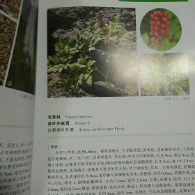 内蒙古植物资源分类彩色图谱（三）