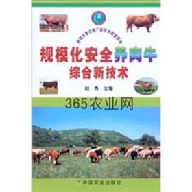 规模化安全养肉牛综合新技术——养殖业重点推广新技术致富图书