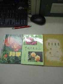 月季，菊花，中国十大名花，花卉栽培(4本和售)