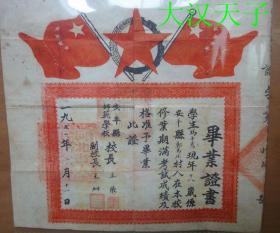 1950年河北安平县师范学校毕业证图真漂亮