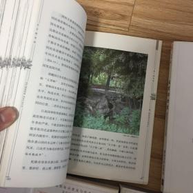 中国古代建筑知识普及与传承系列丛书：北京古建筑五书（北京紫禁城、北京颐和园、北京天坛、北京四合院、北京古建筑地图上中下）