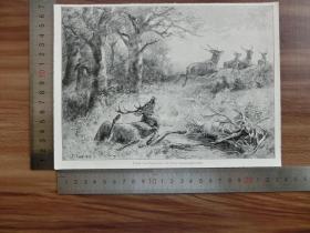 【现货 包邮】1890年小幅木刻版画《在枪声中倒下》(im feuer zusammengebrochen)尺寸如图所示（货号400322）