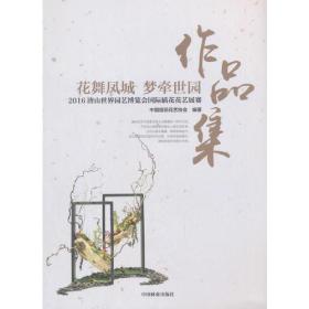 花舞凤城梦牵世界作品集
