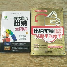 出纳实操从新手到高手 图解案例版（16开）、一看就懂得出纳全图解（大32开） 两本合售