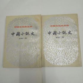 中国小说史（上下册）