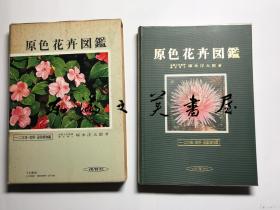 日文原版/带函套/软皮书衣/原色花卉图鉴上/一二年草宿根温室植物编/保育社/1974年/冢本洋太郎/大32开/166页/保育社