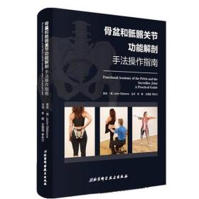 骨盆和骶髂关节功能解剖——手法操作指南