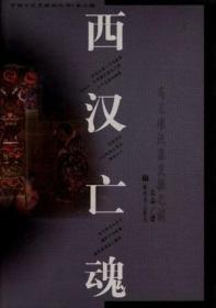 中国文化史探秘丛书(第二辑)-西汉亡魂