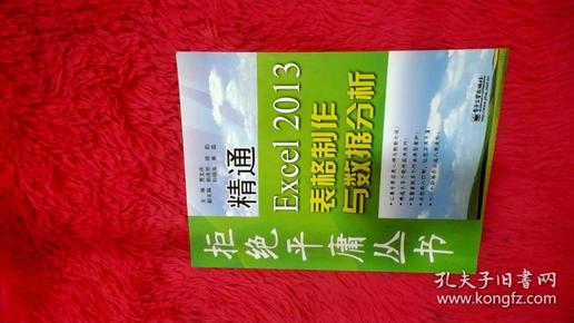 拒绝平庸丛书：精通Excel 2013表格制作与数据分析