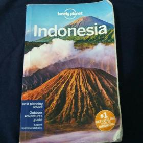 Lonely Planet Indonesia 11 孤独星球印度尼西亚11版 英文