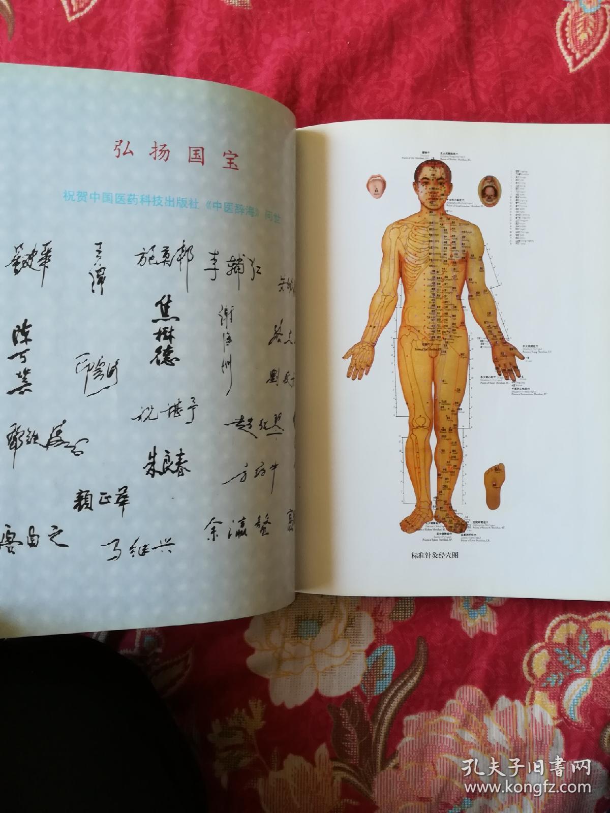 中医辞海：下册