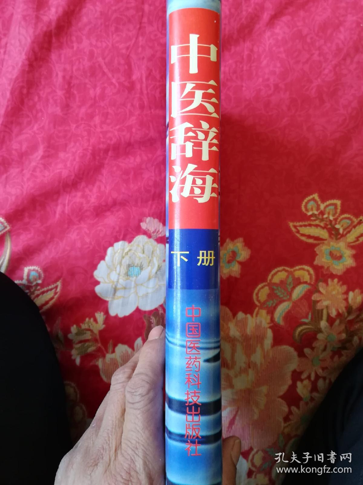 中医辞海：下册