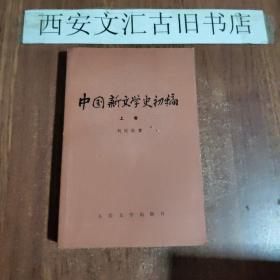 中国新文学史初稿上