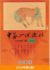 中篇小说选刊杂志 2019年1.2.3.4.5.6.7.8.9.10.11.12月增刊全年共9本打包