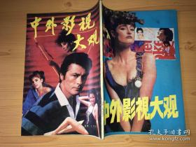 中外影视大观