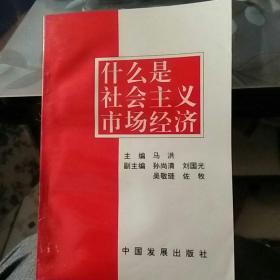 什么是社会主义市场经济