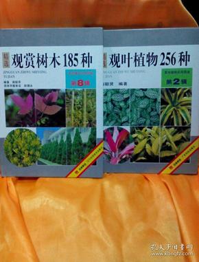 景观植物实用图鉴：精选观叶植物256种