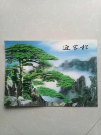 三维立体画17张！（大象.熊猫.长颈鹿.迎客松.北极熊.猫.奔马……）