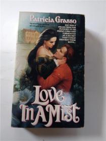 英文原版书籍:love in amist