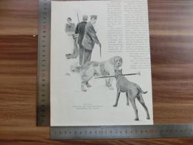【现货 包邮】1890年小幅木刻版画《pfui sulla》(pfui sulla)尺寸如图所示（货号400330）