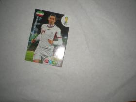 帕尼尼 panini 游戏版 2014年世界杯 球星卡   伊朗  泰穆里安