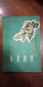 东北的梨（60年一版一印）